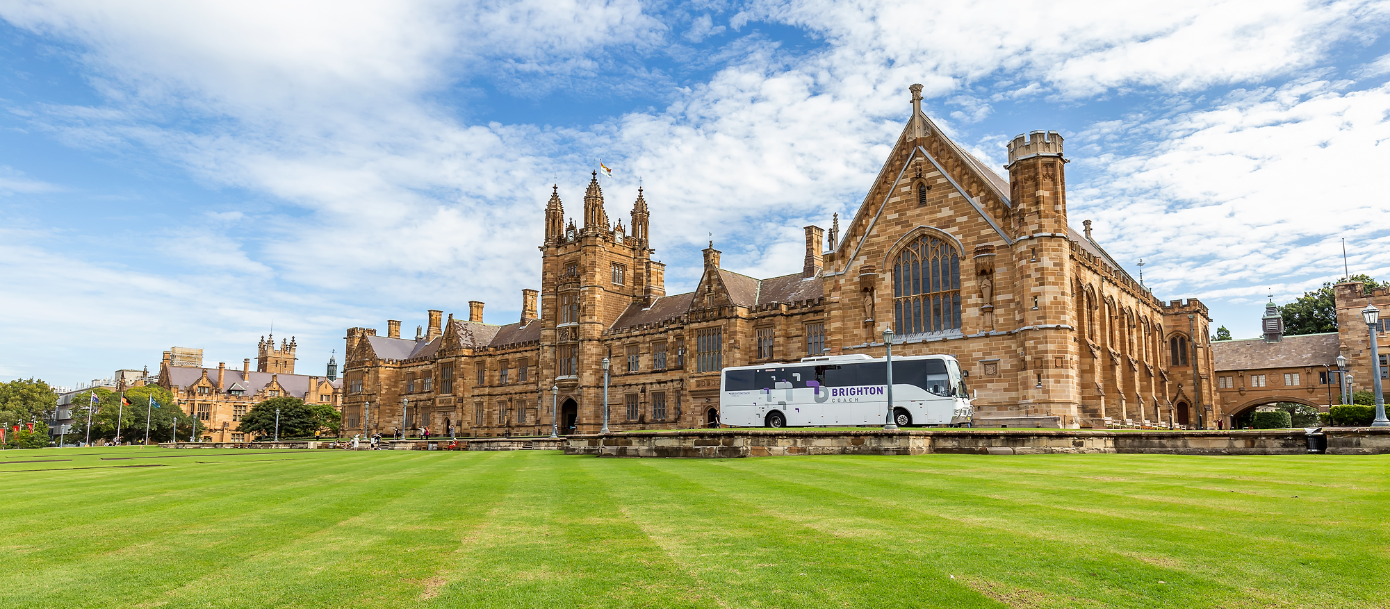 Sydney Uni-Orion Nightwood