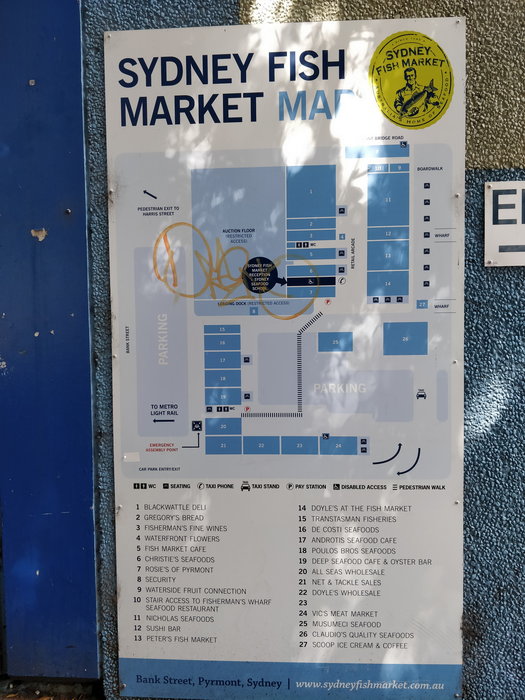 Sydney Fish Market-Victoria Edwards