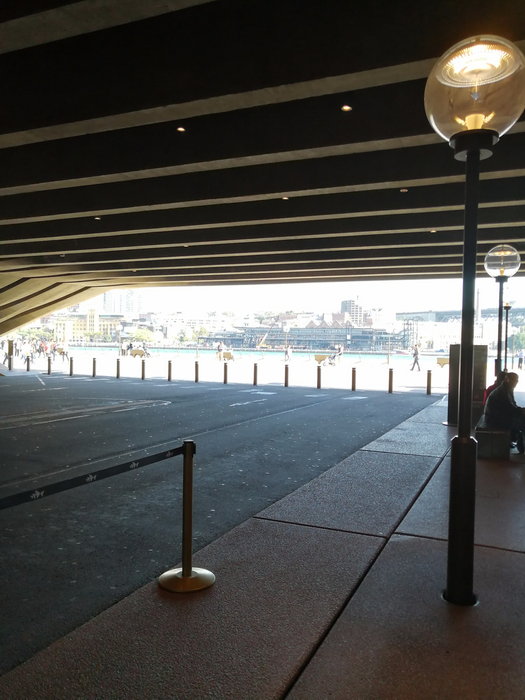Sydney Opera House-Alice Stewart