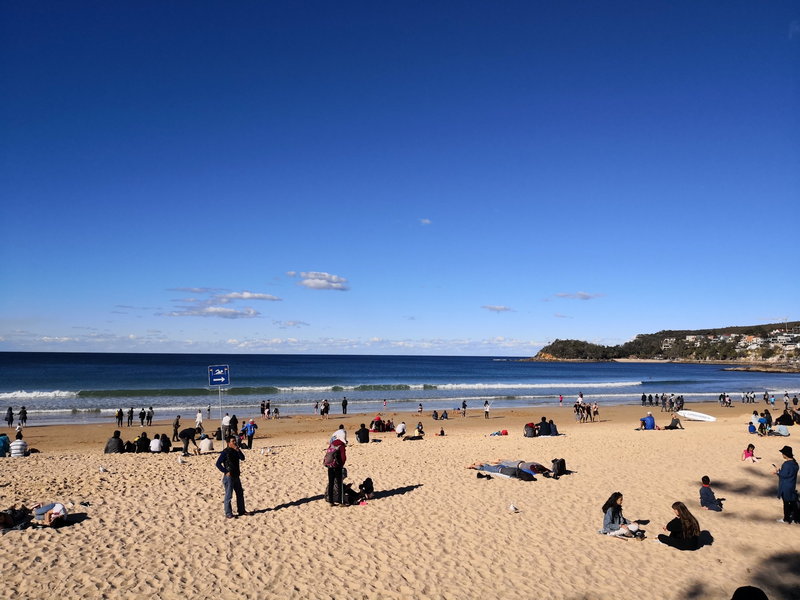 Manly Beach-Benjamin Silverstein