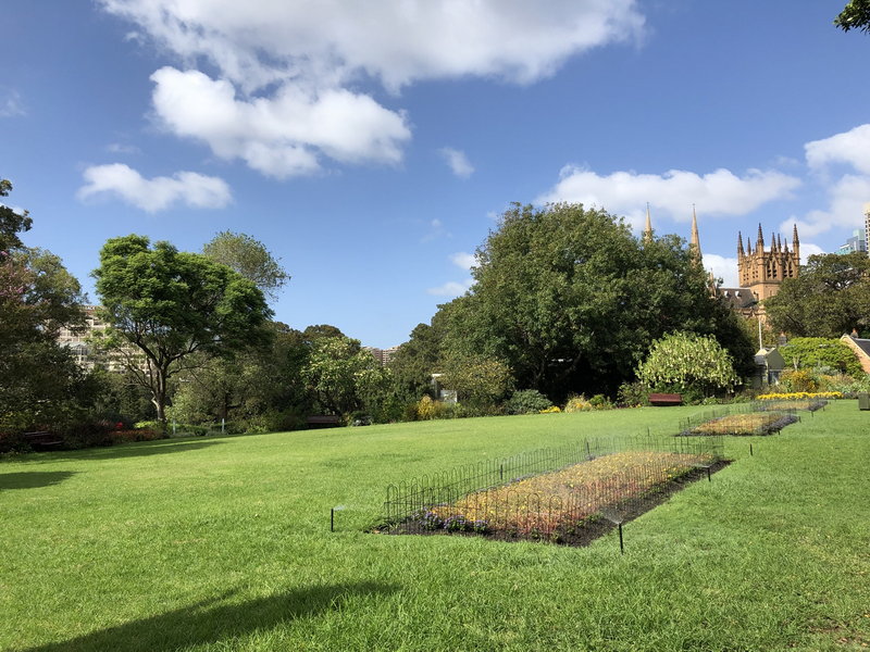 Royal Botanic Garden-Georgia Brown