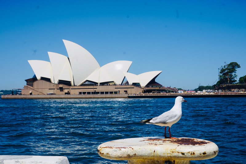 Sydney Opera House-Marcus Young