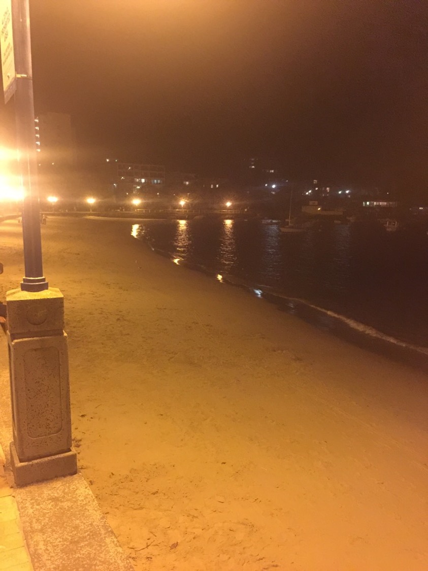 Manly Beach-Isabel Sterling