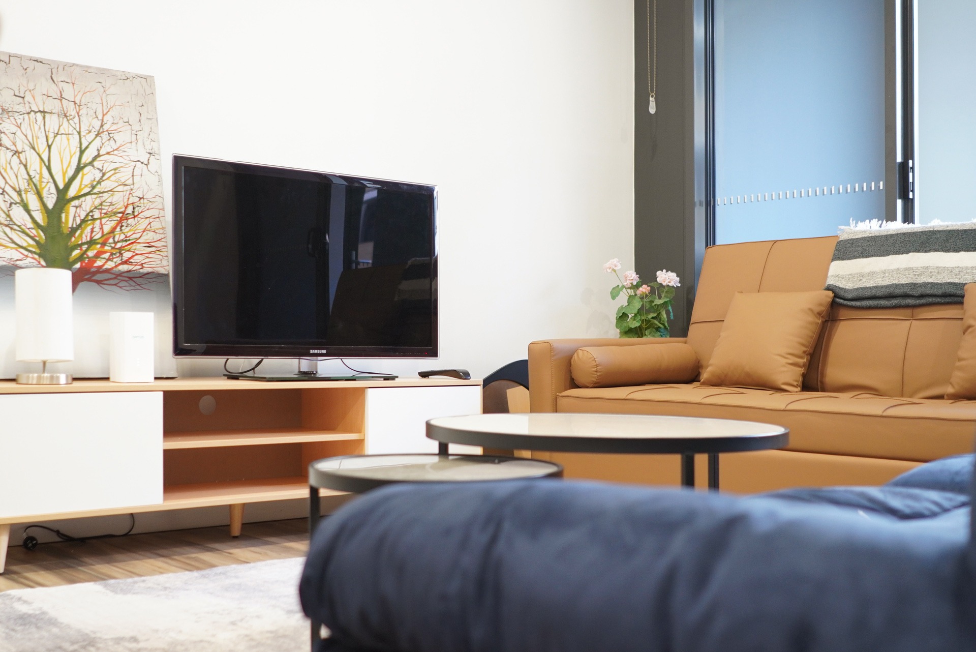 Botany 2 Bedroom Pemberton Street BOT2228-Sydney short term rentals