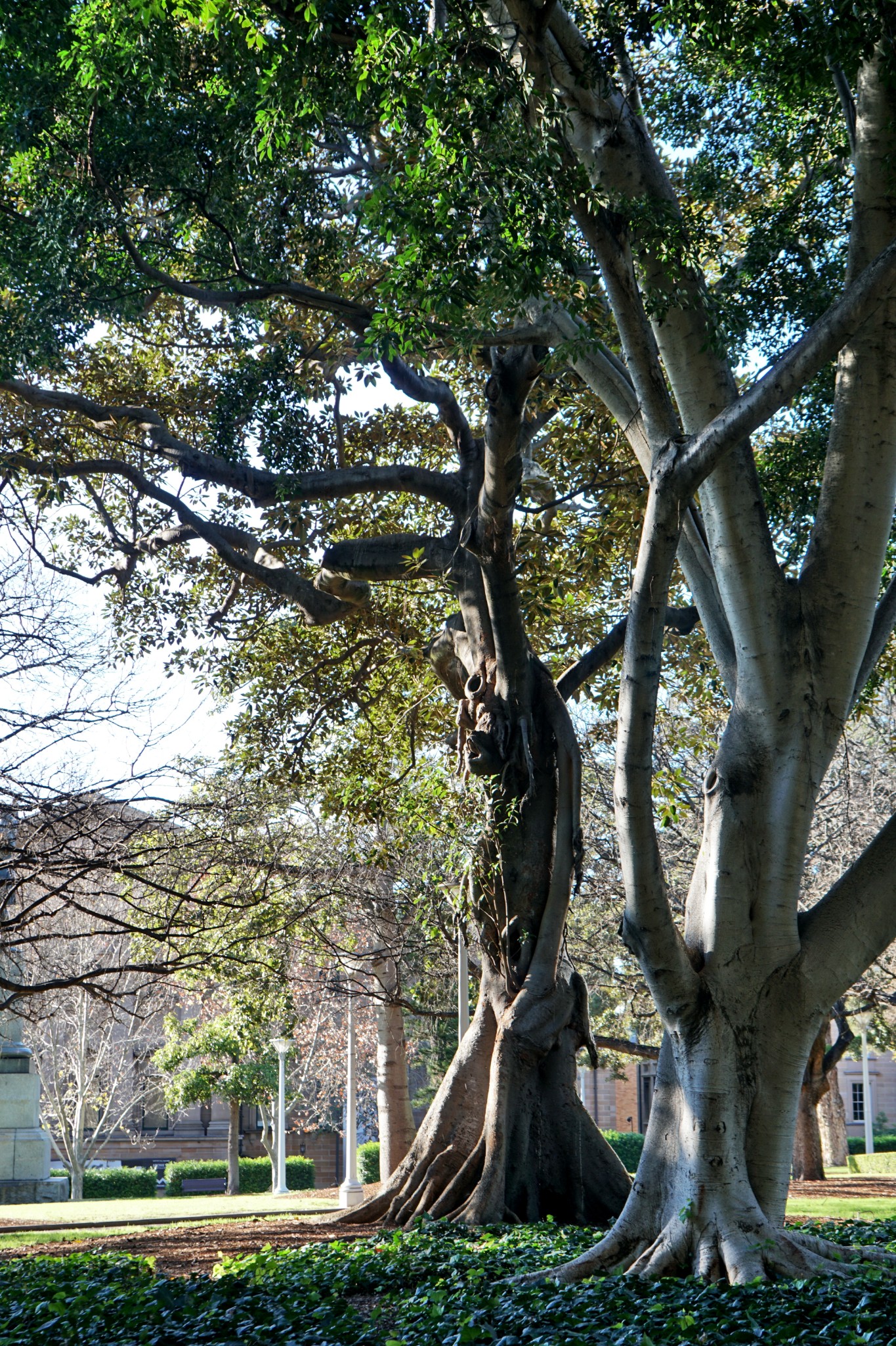 Hyde Park-Daniel Anderson