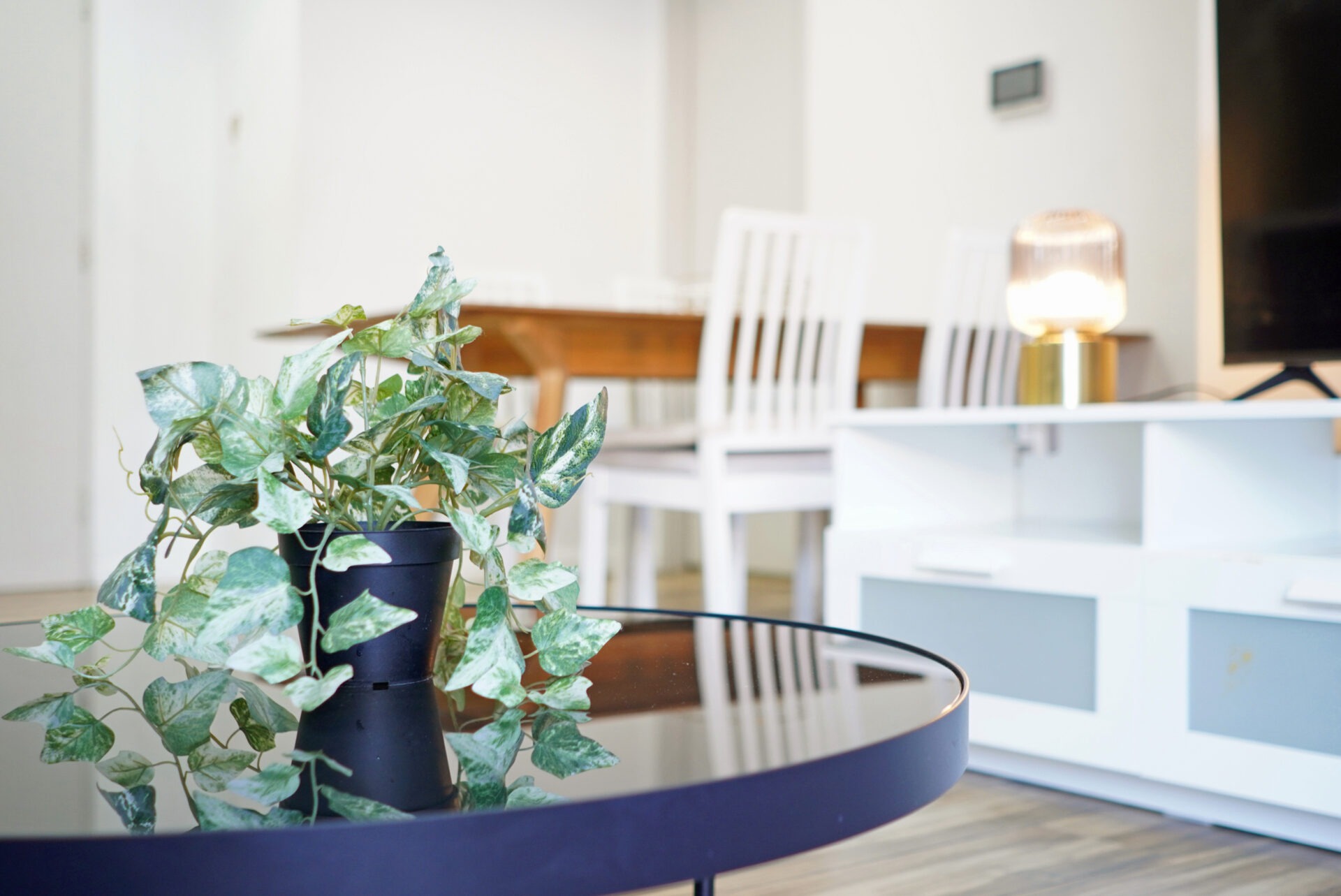 Pyrmont 2 Bedroom Miller Street PYR155-Sydney short term rentals