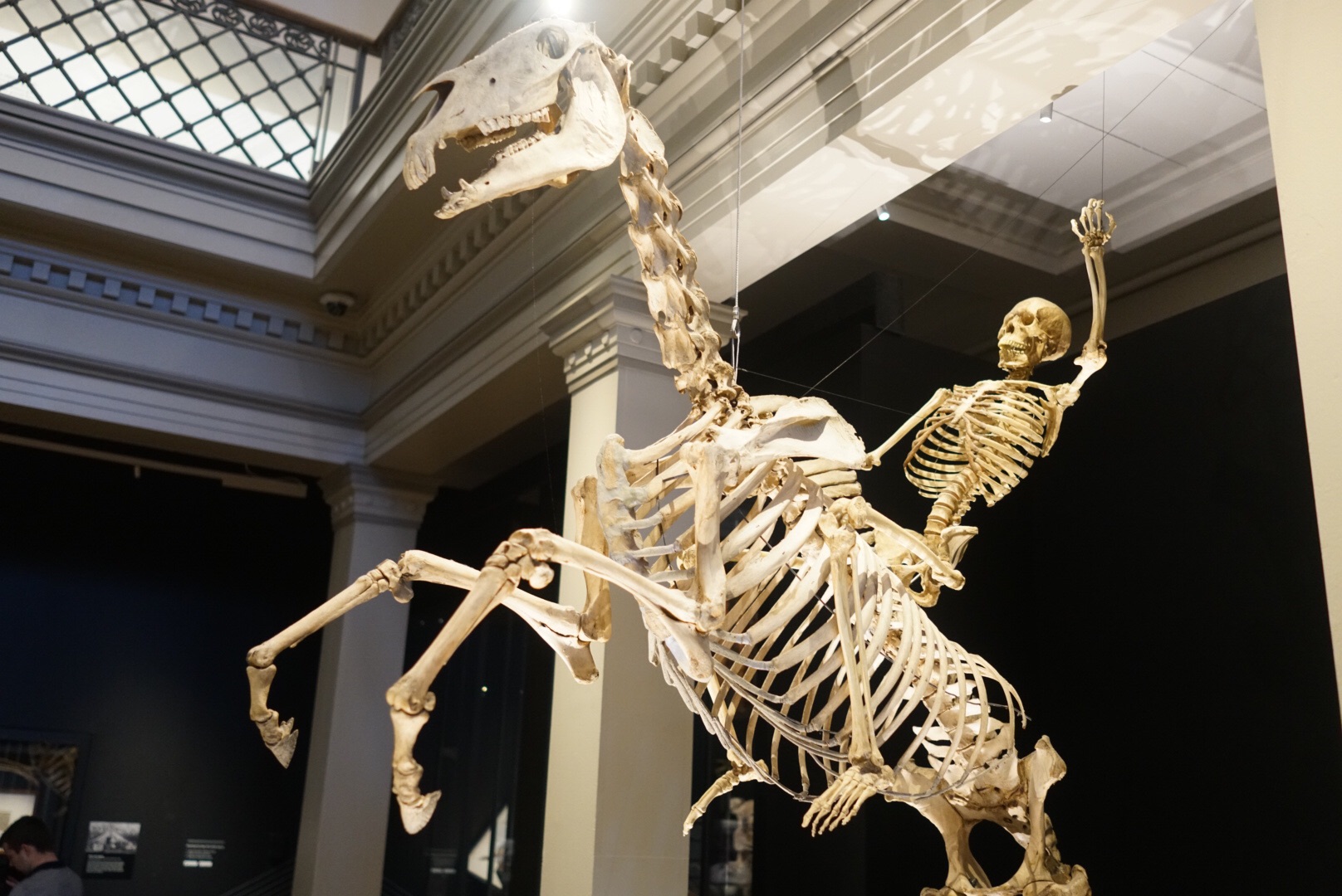 Australian Museum-Isabella Turner