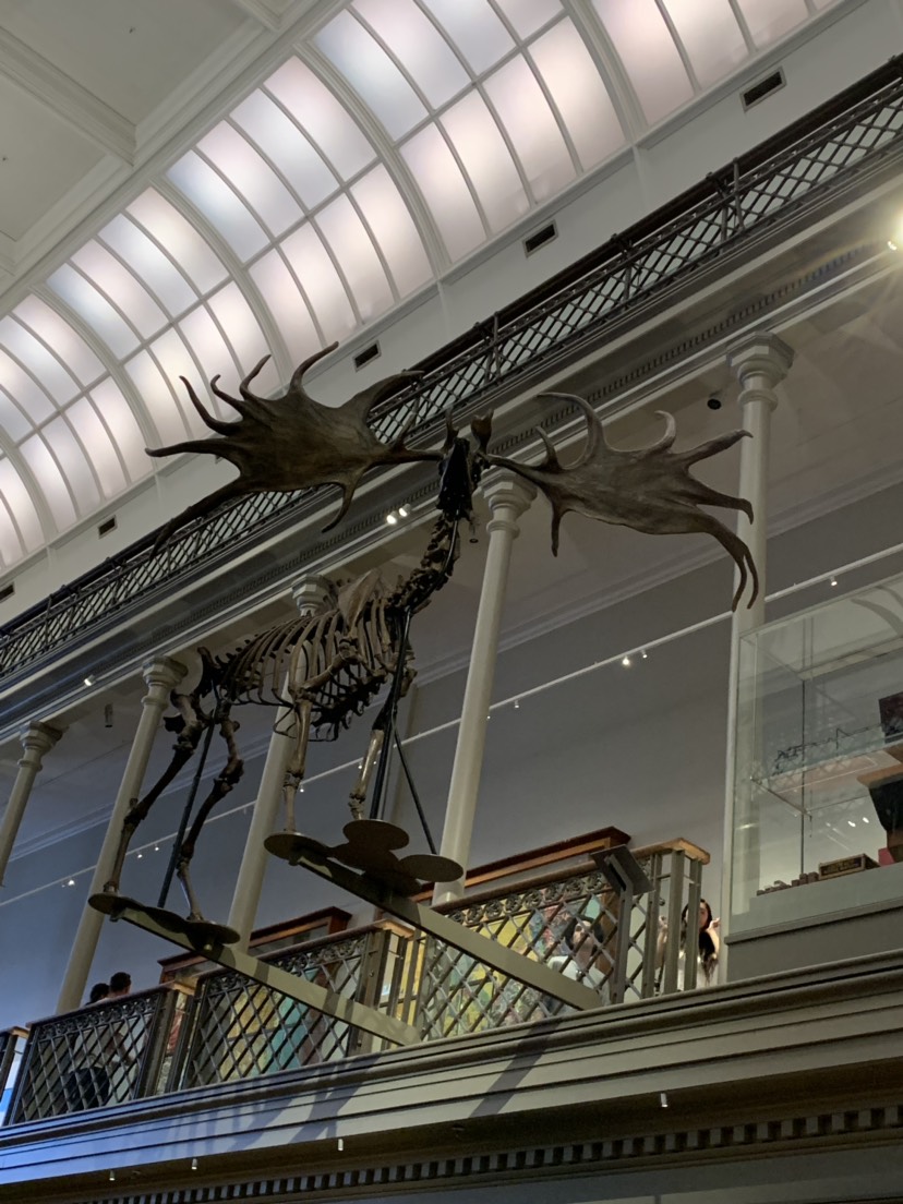 Australian Museum-Joseph Taylor