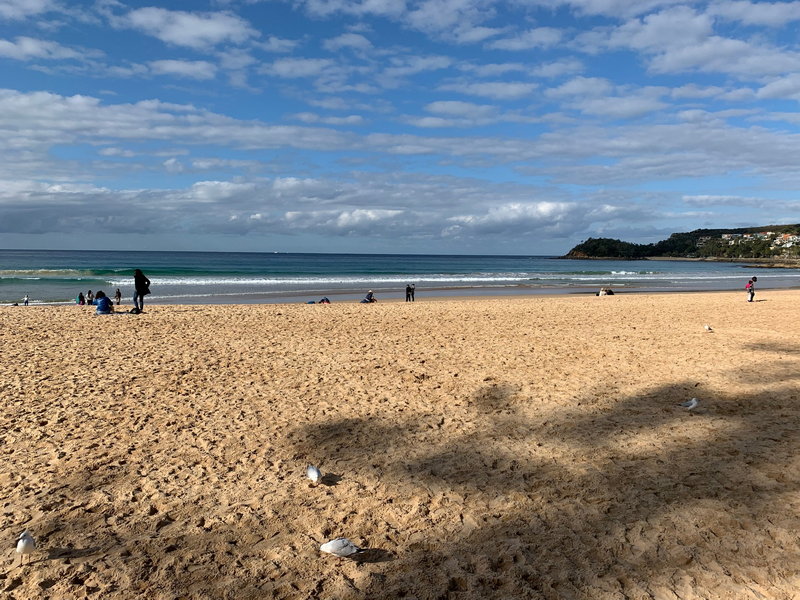 Manly Beach-Harrison Maxwell