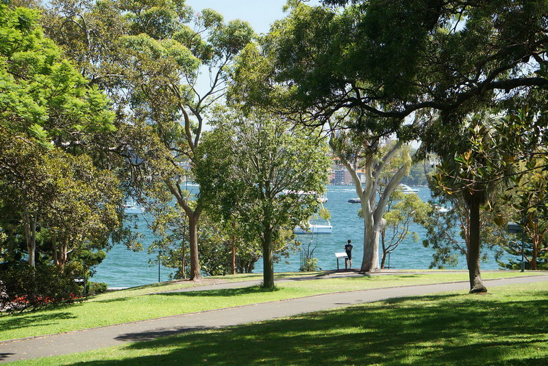 Royal Botanic Garden-Valerie Brown