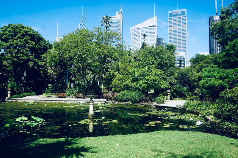 Hyde Park-Victoria Edwards