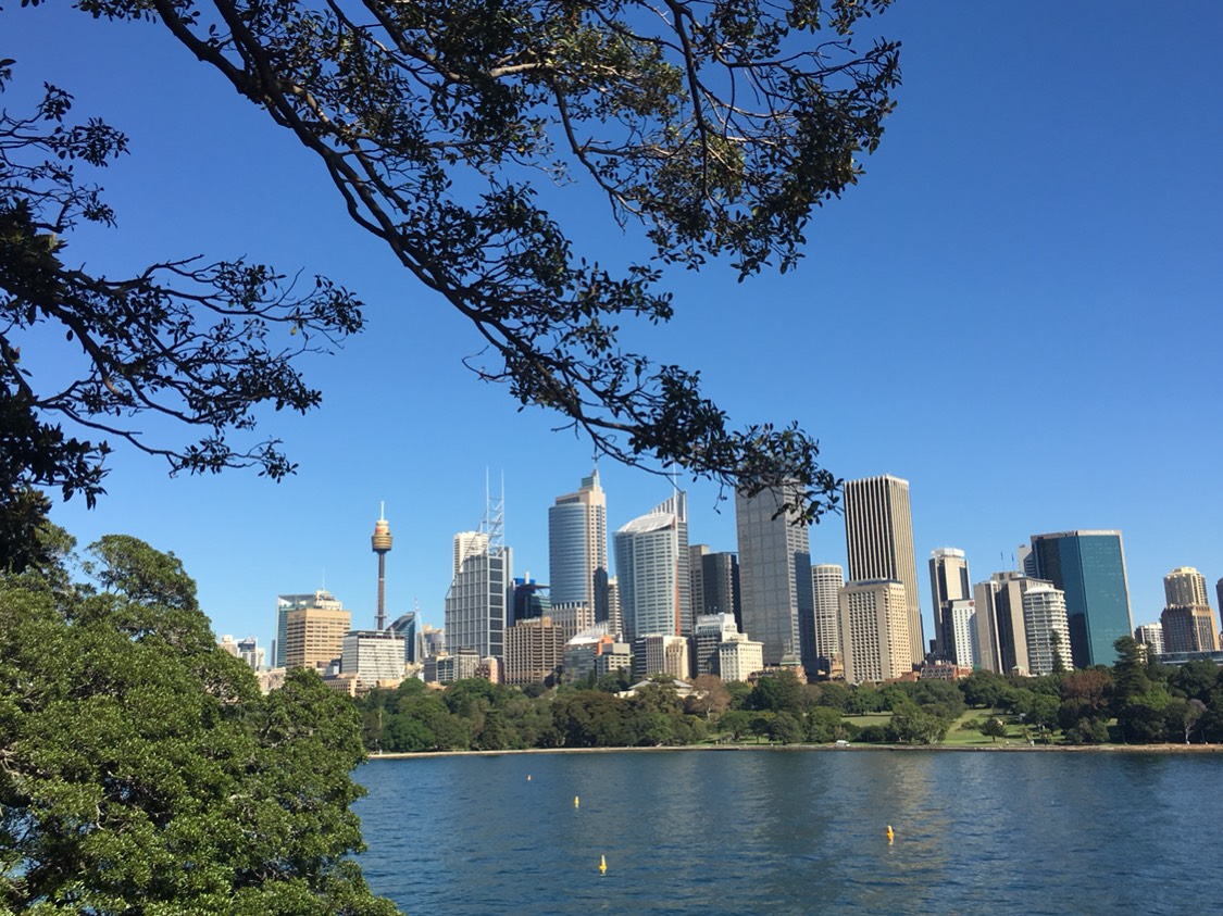 Sydney Tower Eye-Austin Palmer