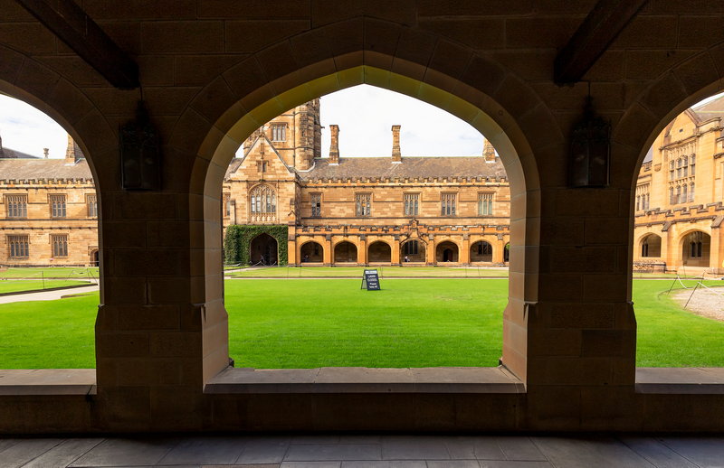 Sydney Uni-Orion Nightwood