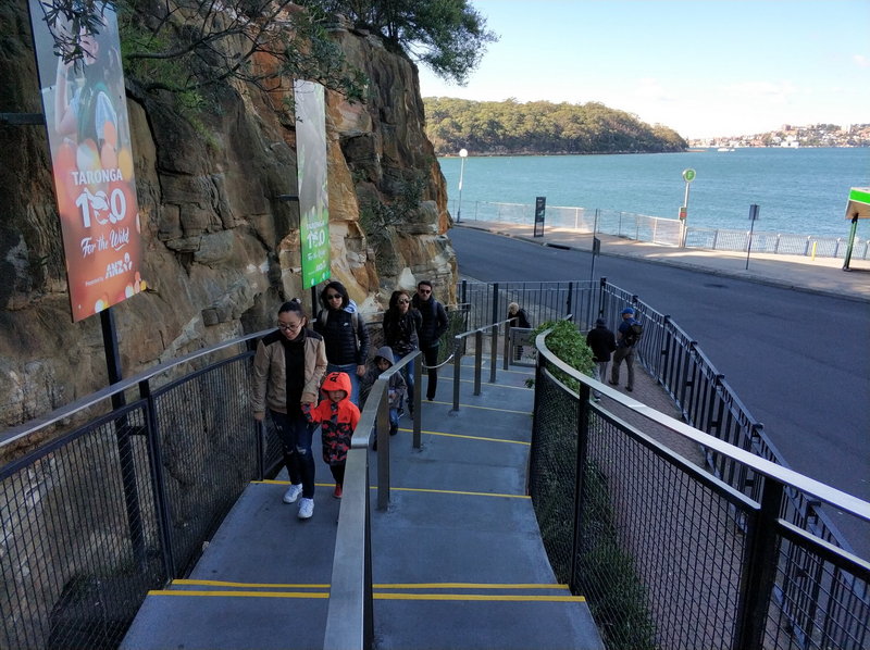 Taronga Zoo-Sage Ravenfall