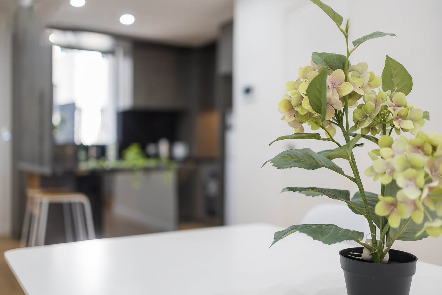Lane Cove 4 Bedroom Townhouse Longueville Road LC48-Sydney short term rentals