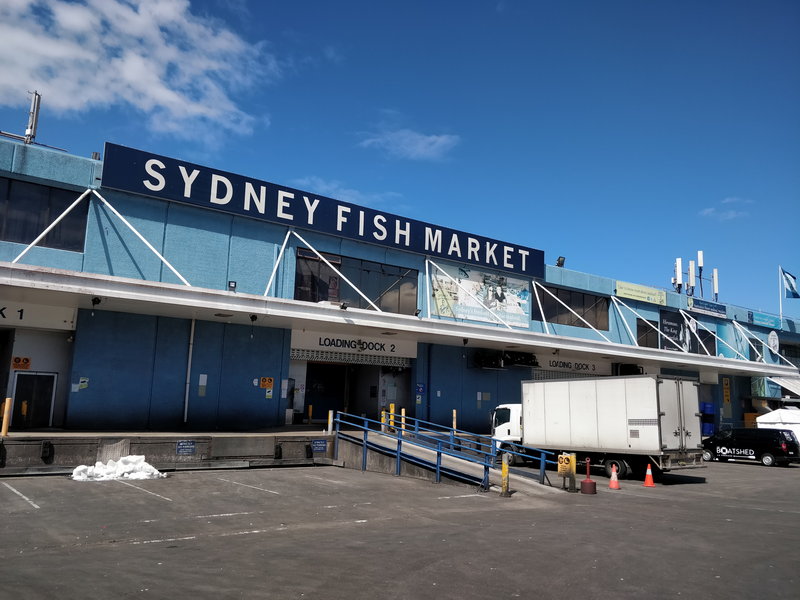 Sydney Fish Market-Victoria Edwards