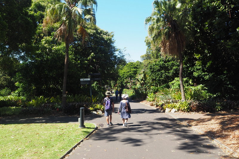 Royal Botanic Garden-Trinity Scott
