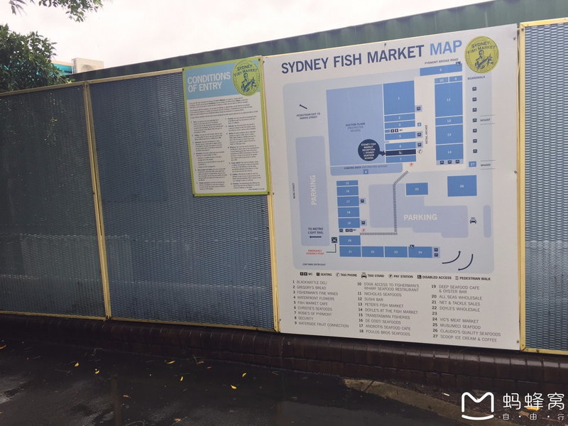 Sydney Fish Market-Austin White