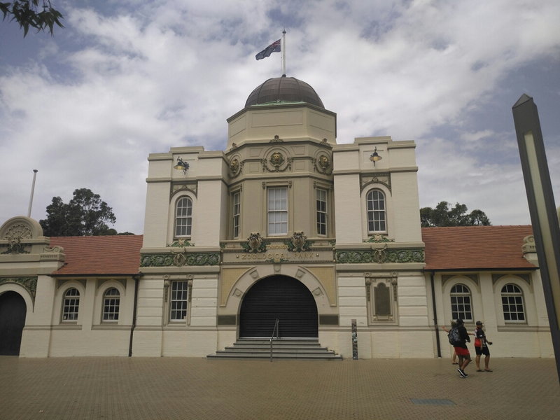 Taronga Zoo-Ash Stonebrook