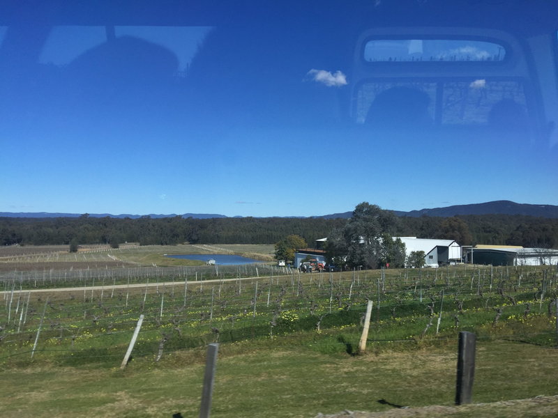 Hunter Valley-Meadow Fairfax