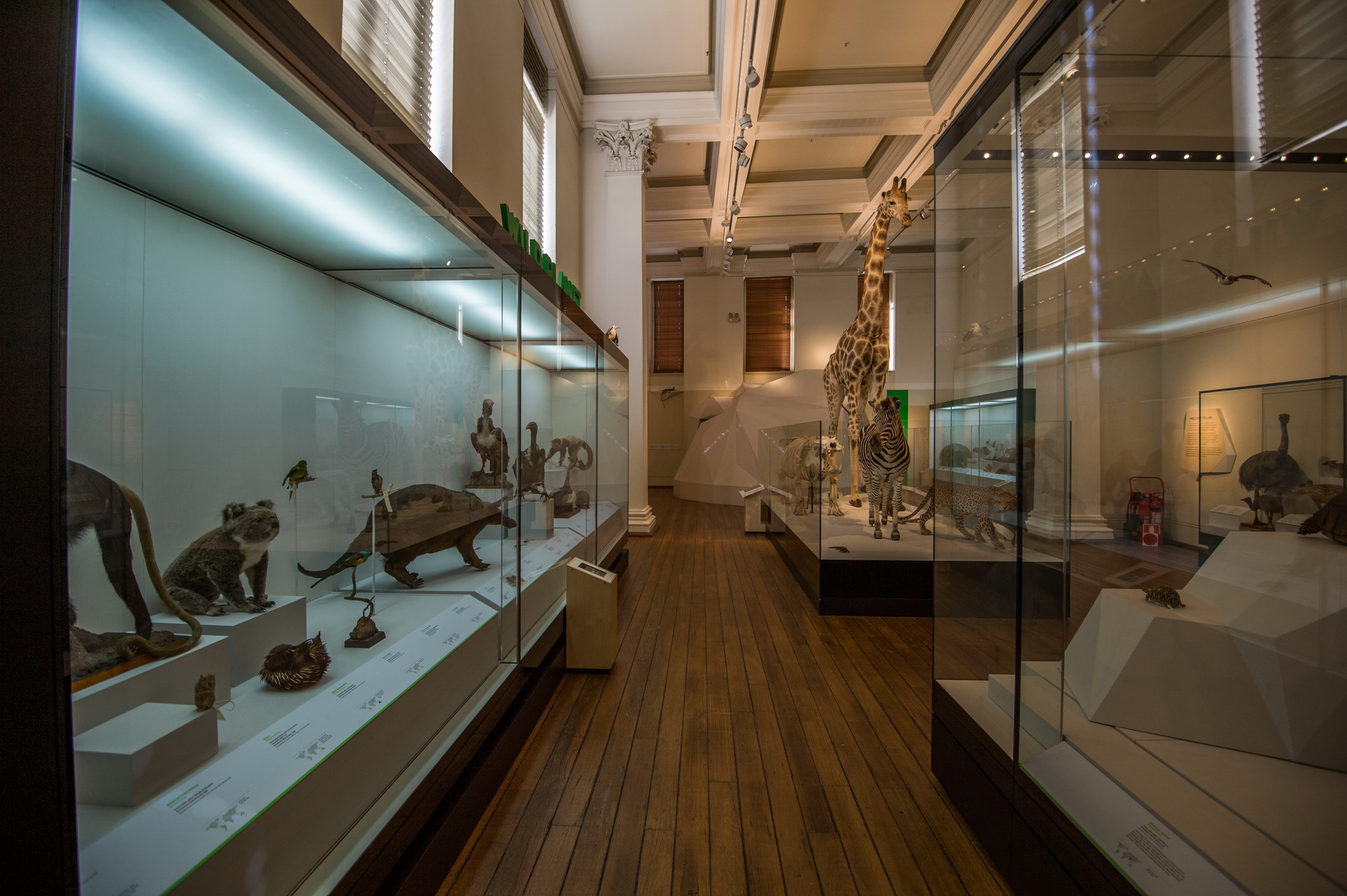 Australian Museum-Ethan Clarke