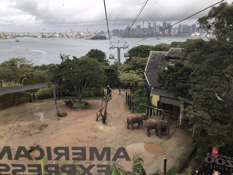 Taronga Zoo-Vale Ravenbrook