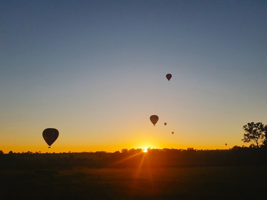 Hunter Valley-River Shepherd