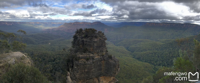 Blue Mountains-Ivy Hendricks