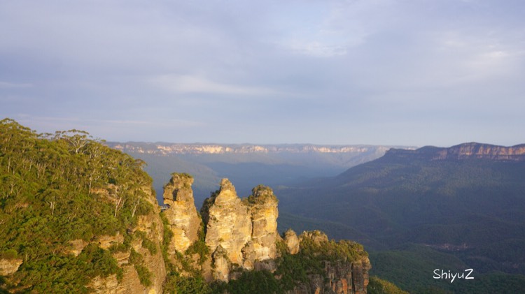 Blue Mountains-Willow Rothschild