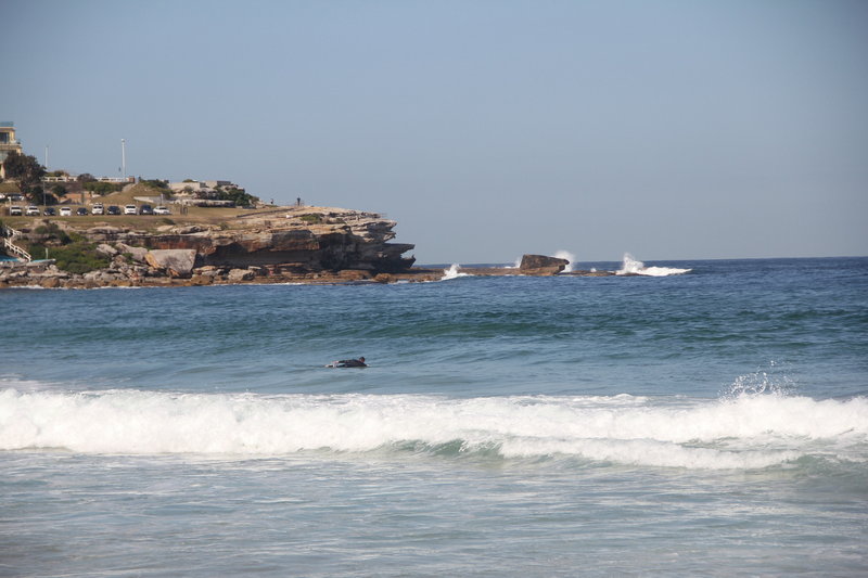 Bondi Beach-Leah Gordon