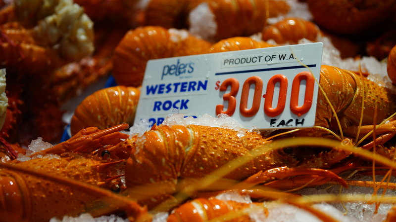 Sydney Fish Market-James Powell