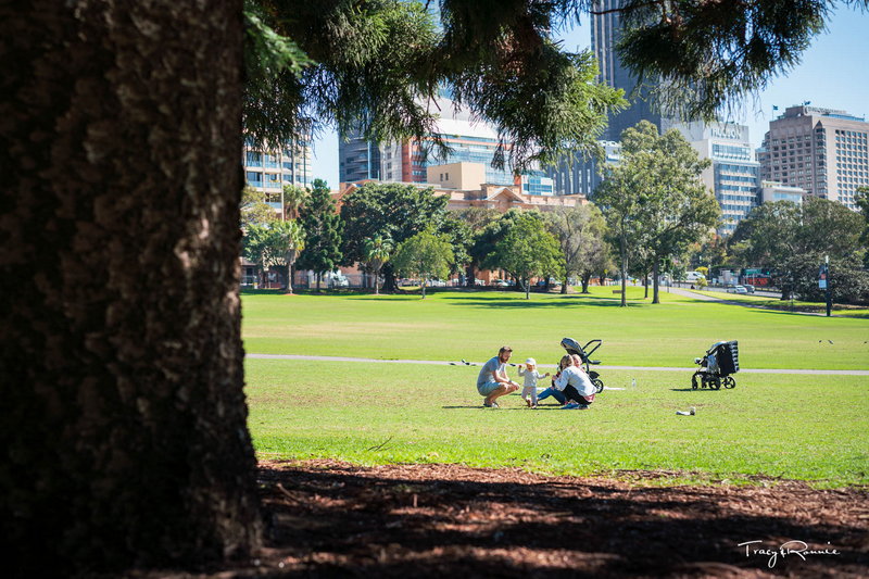 Royal Botanic Garden-Caleb Robinson