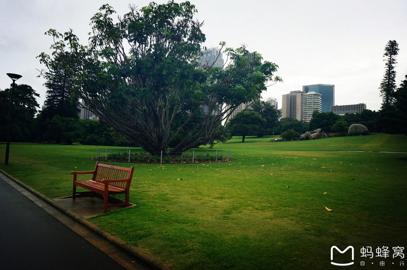 Royal Botanic Garden-Dylan Howard