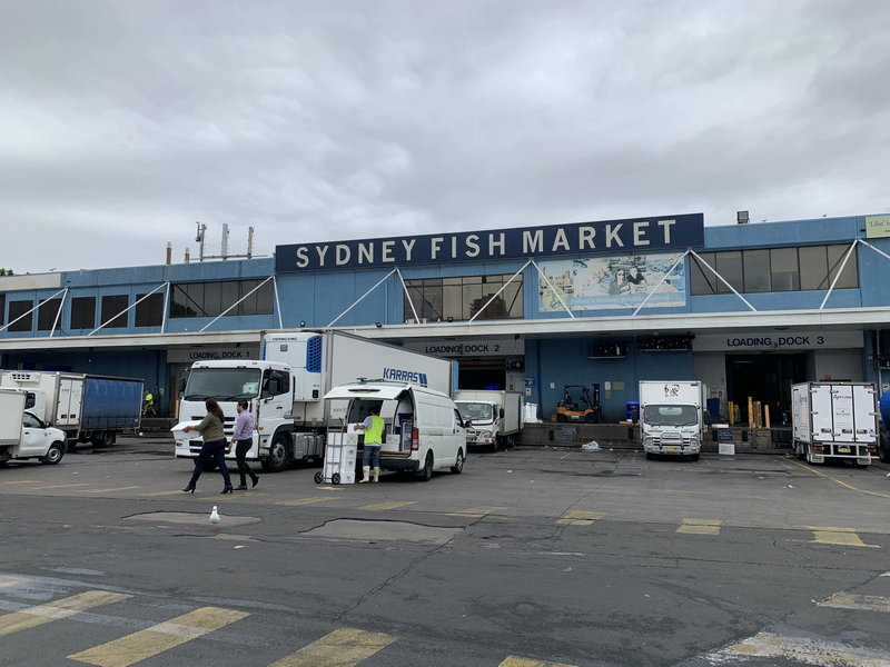 Sydney Fish Market-Chase Anderson