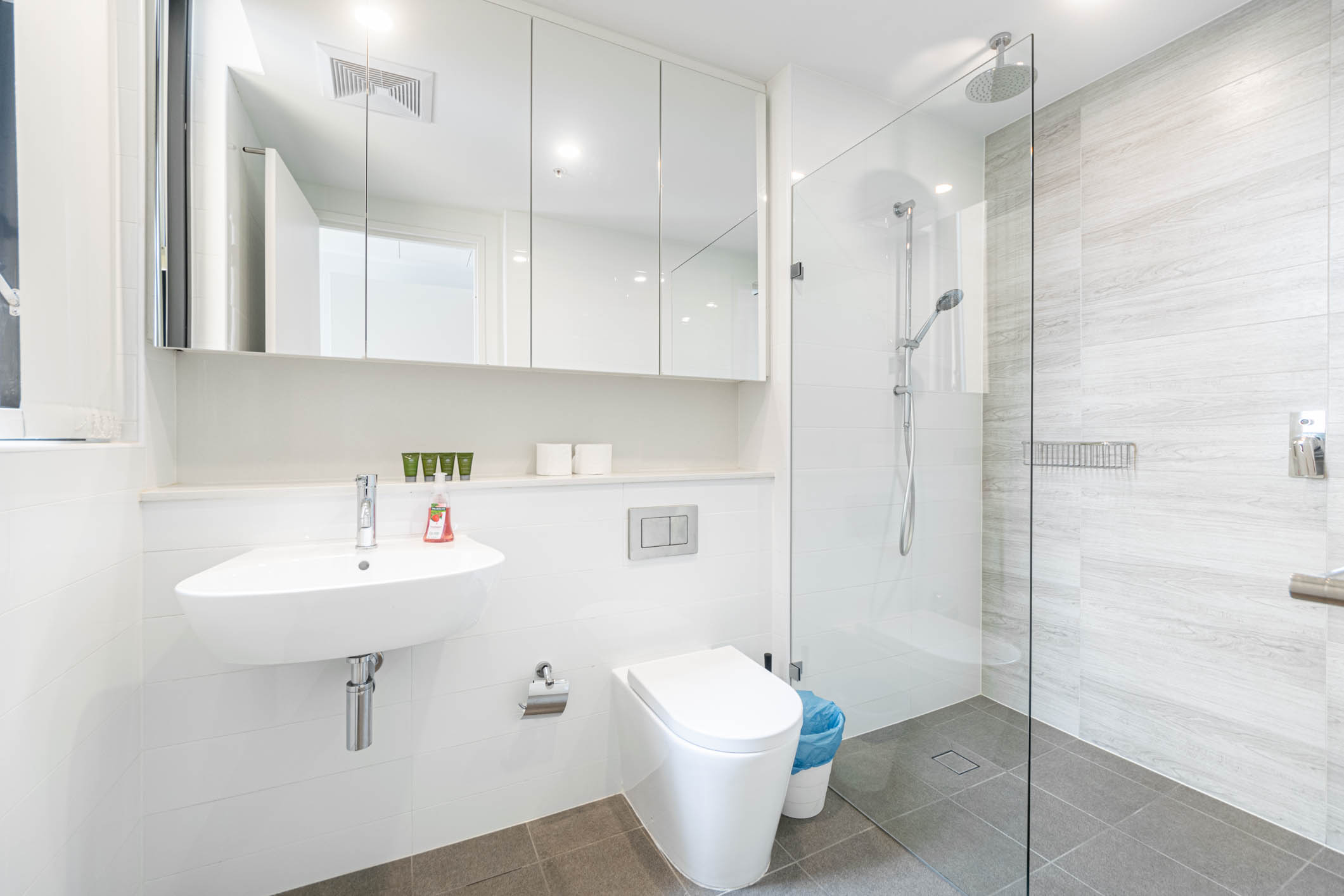 Waterloo 2 Bedroom Elizabeth Street WAT1002-Sydney short term rentals