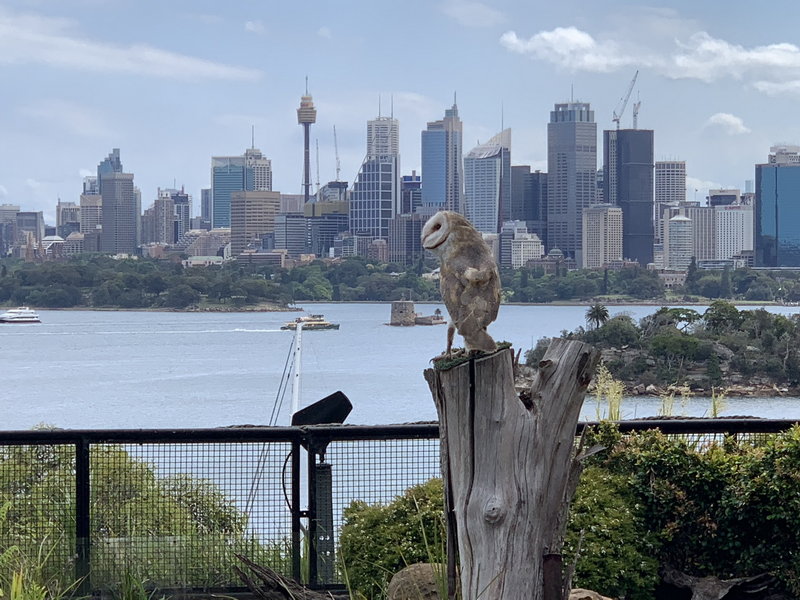 Taronga Zoo-Rain Lightfall