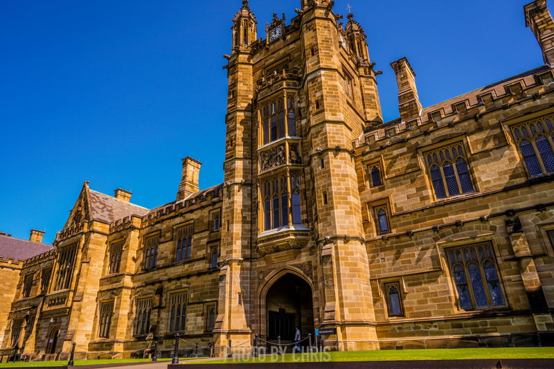 Sydney Uni-Phoenix Ravenshine