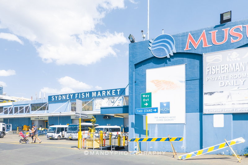 Sydney Fish Market-Lucas Palmer