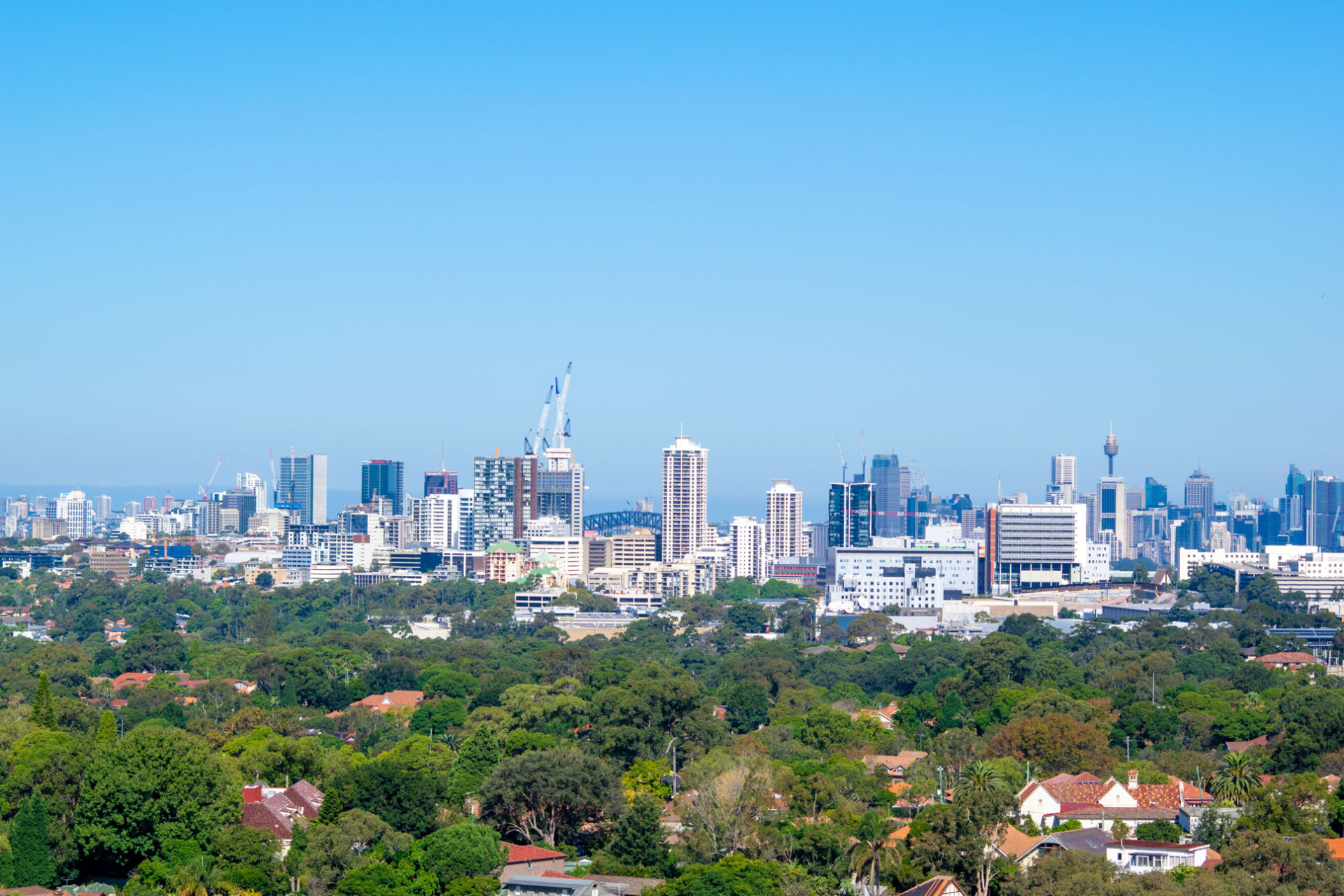 Neutral Bay 2 Bedroom Wycombe Road NB8-Sydney short term rentals