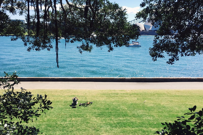 Royal Botanic Garden-Georgia Wilson