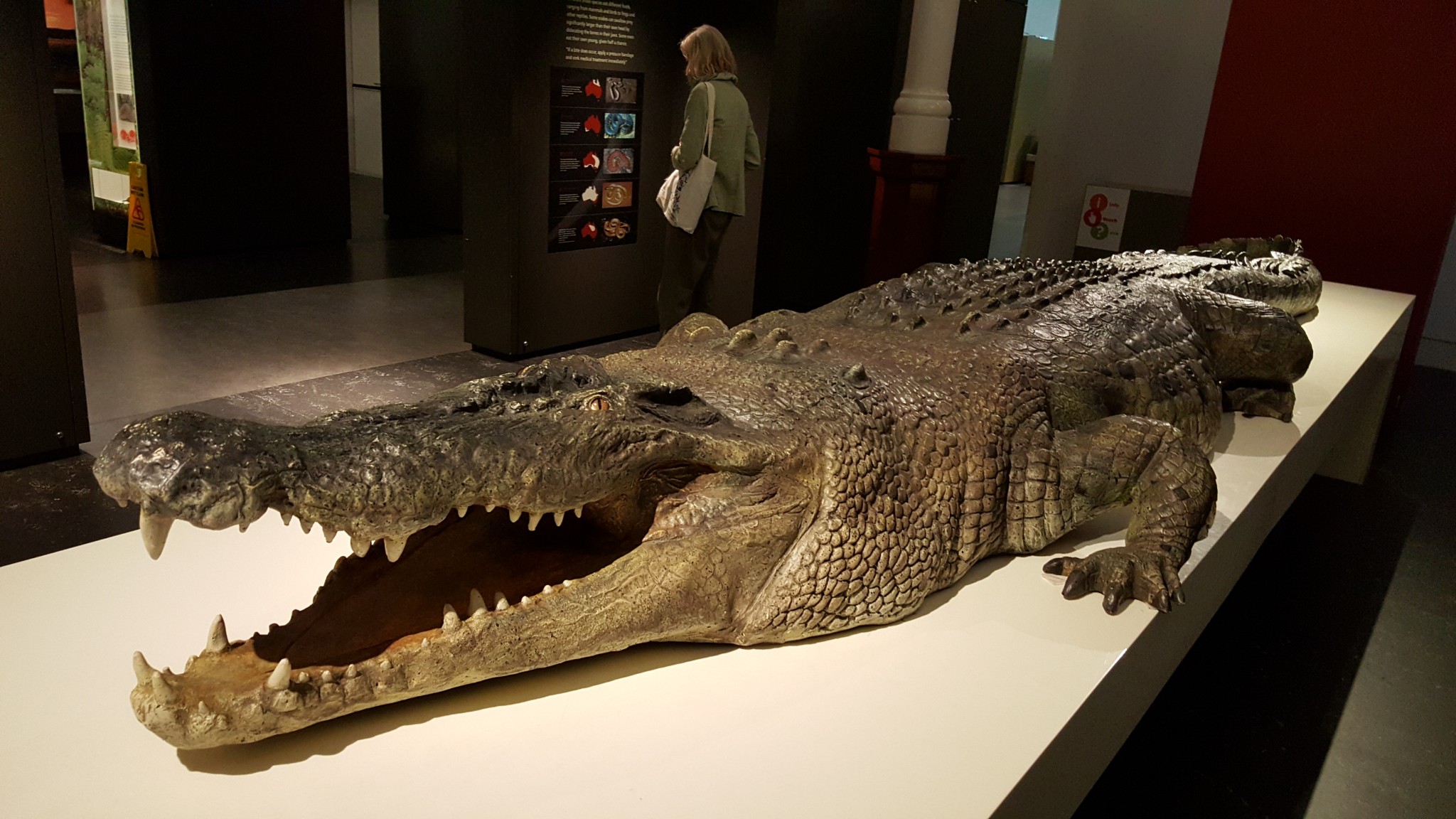 Australian Museum-Harper Brooks