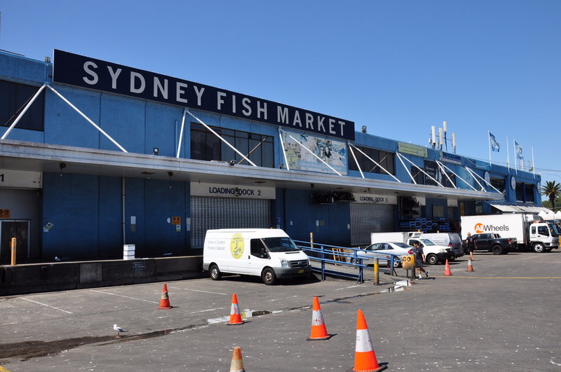 Sydney Fish Market-Lucy Parker