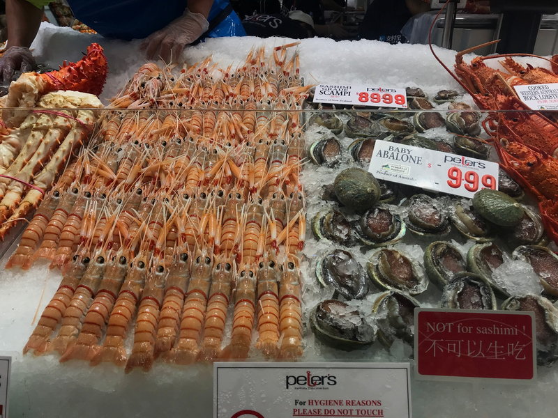 Sydney Fish Market-Daniel Reed