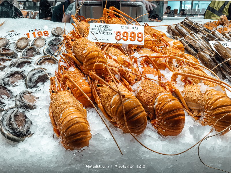 Sydney Fish Market-Caleb Robinson
