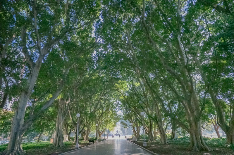 Hyde Park-Ethan Davis