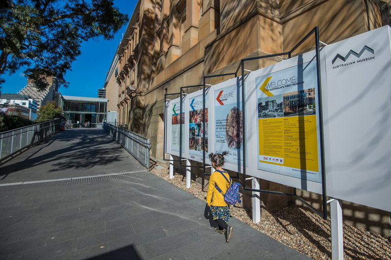 Australian Museum-Victoria Ross