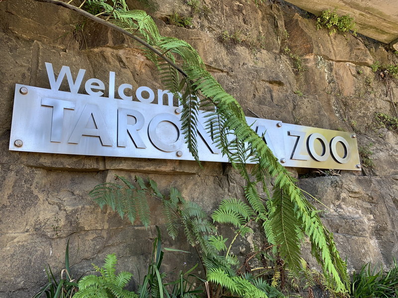 Taronga Zoo-Rain Lightfall