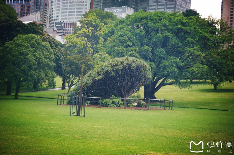 Royal Botanic Garden-Dylan Howard