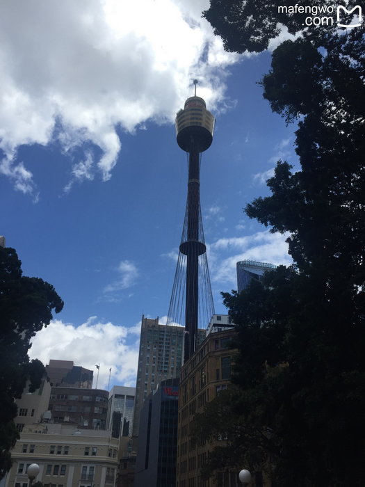 Sydney Tower Eye-Aria Campbell