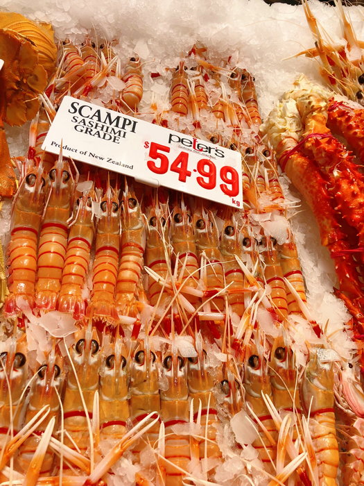 Sydney Fish Market-Isabella Martinez
